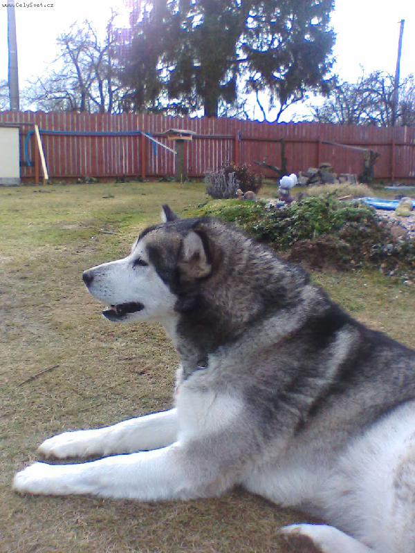 Foto: Sylvinka-haf